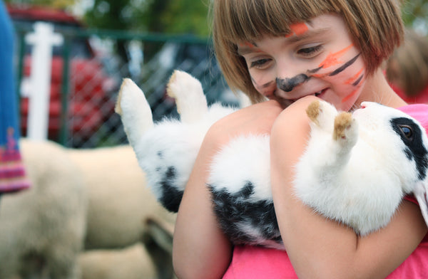 The Healing Power of Animals