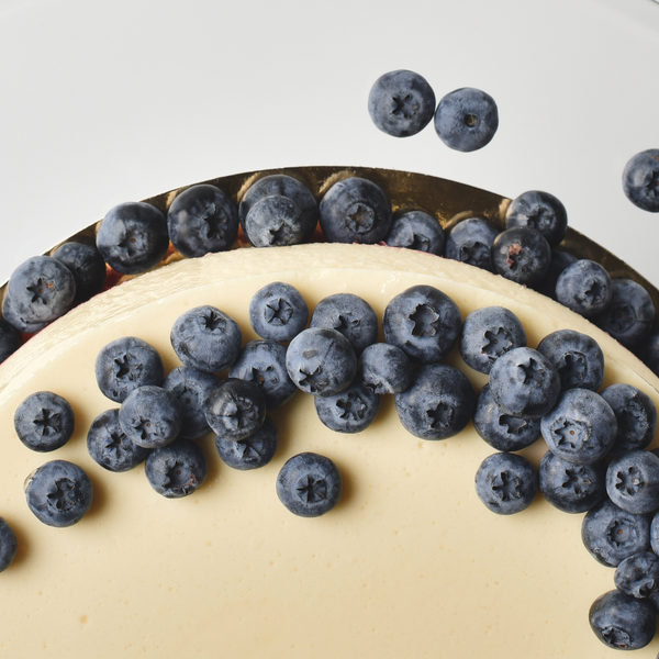 Healthy Blueberry Cheesecake